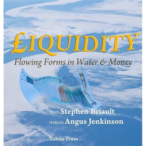 Pre-Owned Flowing Forms: Liquidity: Flowing Forms in Water and Money (Hardcover)