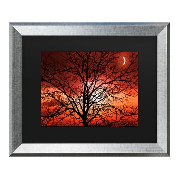 Trademark Fine Art 'Big Bad Moon' Canvas Art by Philippe Sainte-Laudy