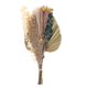 thumbnail image 2 of Hojas de palma secas Soledad decoración de Hierba de pampa, 2 of 5