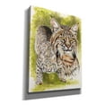 thumbnail image 2 of Epic Graffiti 'Brassy' by Barbara Keith, Canvas Wall Art, 26"x34", 2 of 8