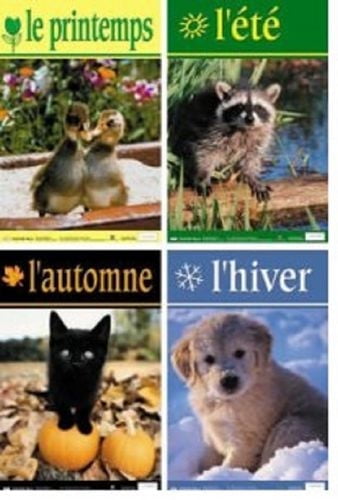 Affiche les saisons en français