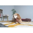 thumbnail image 3 of Jouet à mâcher pour chien Hartz Chompathon Rock N' Rib, 3 of 5