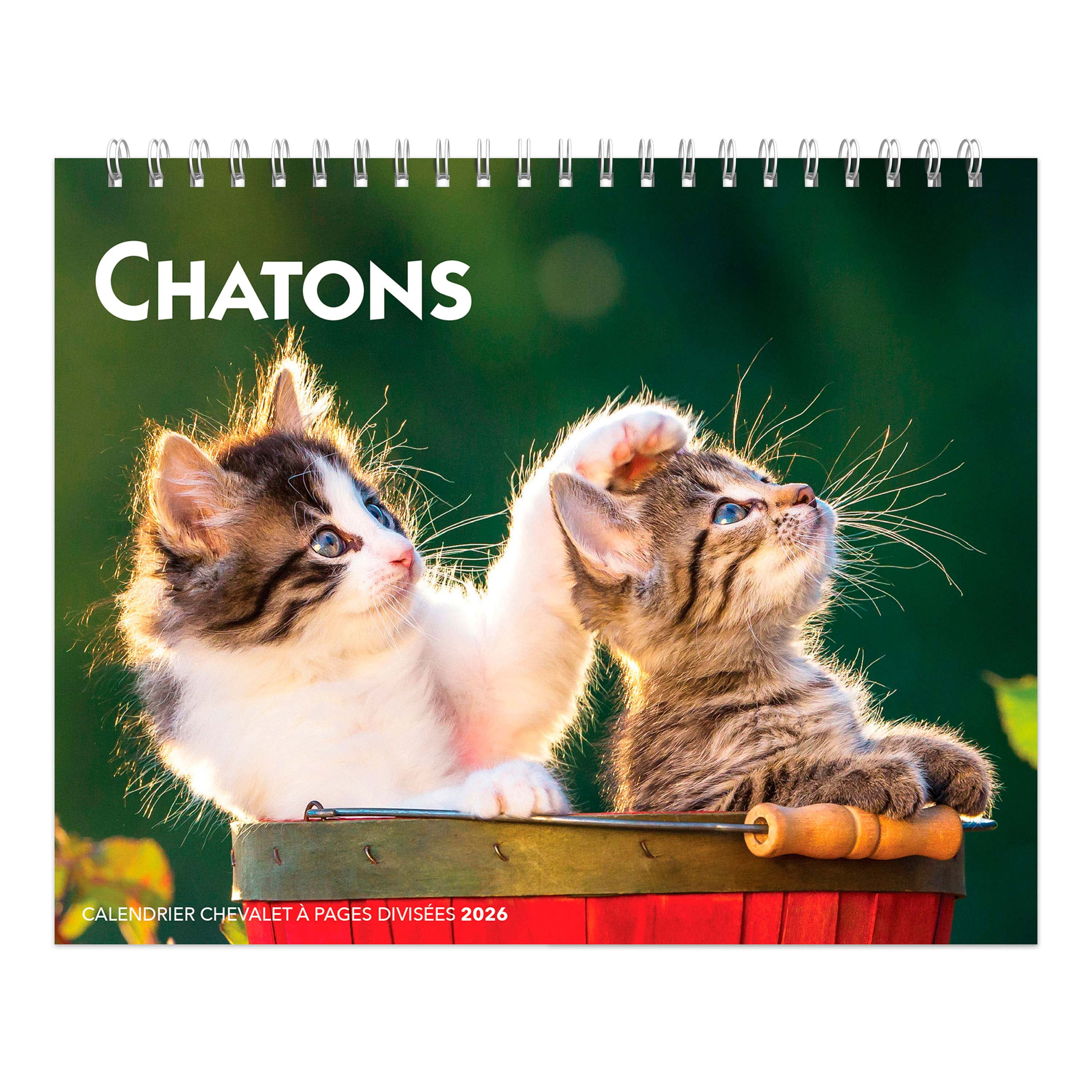Chatons 2026 Double View Easel FRENCH BTCA