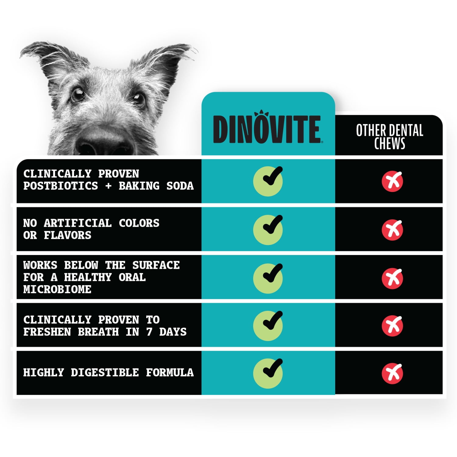 Dinovite Dental Chews for Medium Dogs - 5 Count