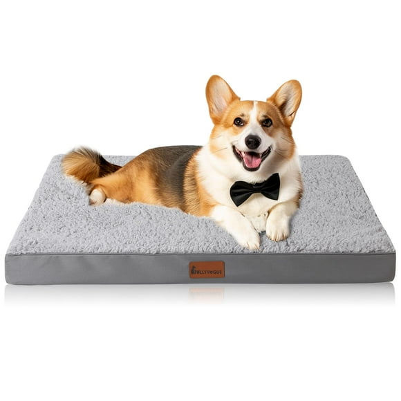 JOLLYVOGUE Medium Dog Bed, Orthopedic Dog Bed Support Egg Crate Foam Dog Beds, Soft & Cozy Pet Bed Mat with Removable Washable Cover (Large, Dar