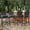 Blue Brown, variant on Outdoor Wicker Barstools Set of 4,Rattan Patio Bar Stools for Backyard, Brown+beige/dark gray/blue