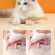 thumbnail image 4 of 4 Pieces Cat Chew Sticks,Catnip Sticks for Cats, Cat Chew Sticks Toy,Cat Stick,for Cleaning Teeth Catnip Toys, 4 of 4