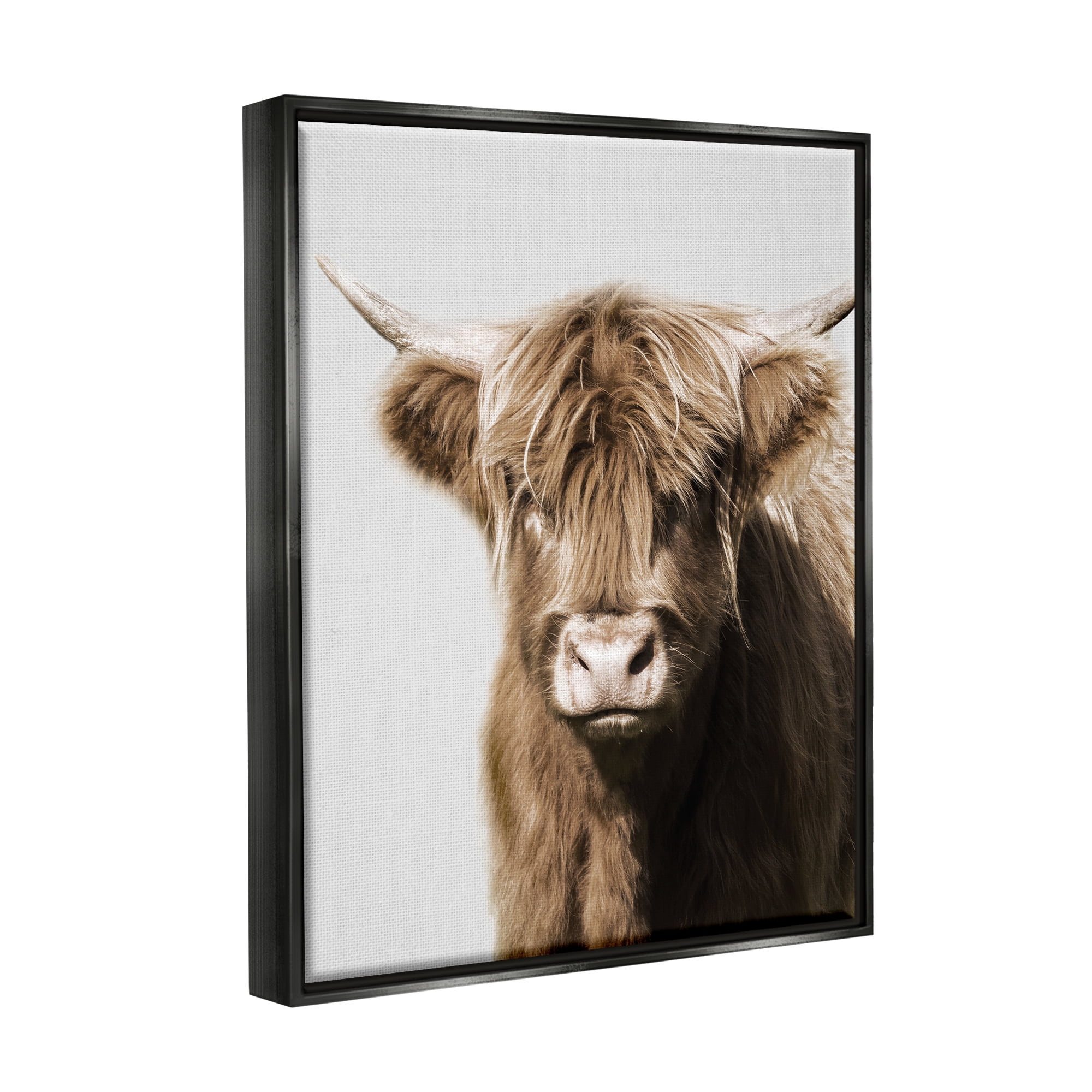 Stupell Industries Highland Cattle Close-Up Animals & Insects Photography Black Floater Framed Canvas Art Print Wall Art, 17 x 21
