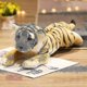 thumbnail image 2 of 39/48/58 cm Lindo León Tigre Leopardo Peluche Juguete Lindo Simulación Muñeca Relleno Suave Simulación Animal (hy), 2 of 2