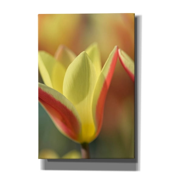 Epic Graffiti 'Tulip Tinka' by Cora Niele, Canvas Wall Art, 12"x18"