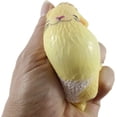 thumbnail image 7 of 2 Soft Animal Stress Balls - Koala, Cat - Soft Cream Doh Filled Stress Ball - Squishy Gooey Squish Sensory Squeeze Balls - Lover Gift (RANDOM COLORS), 7 of 7