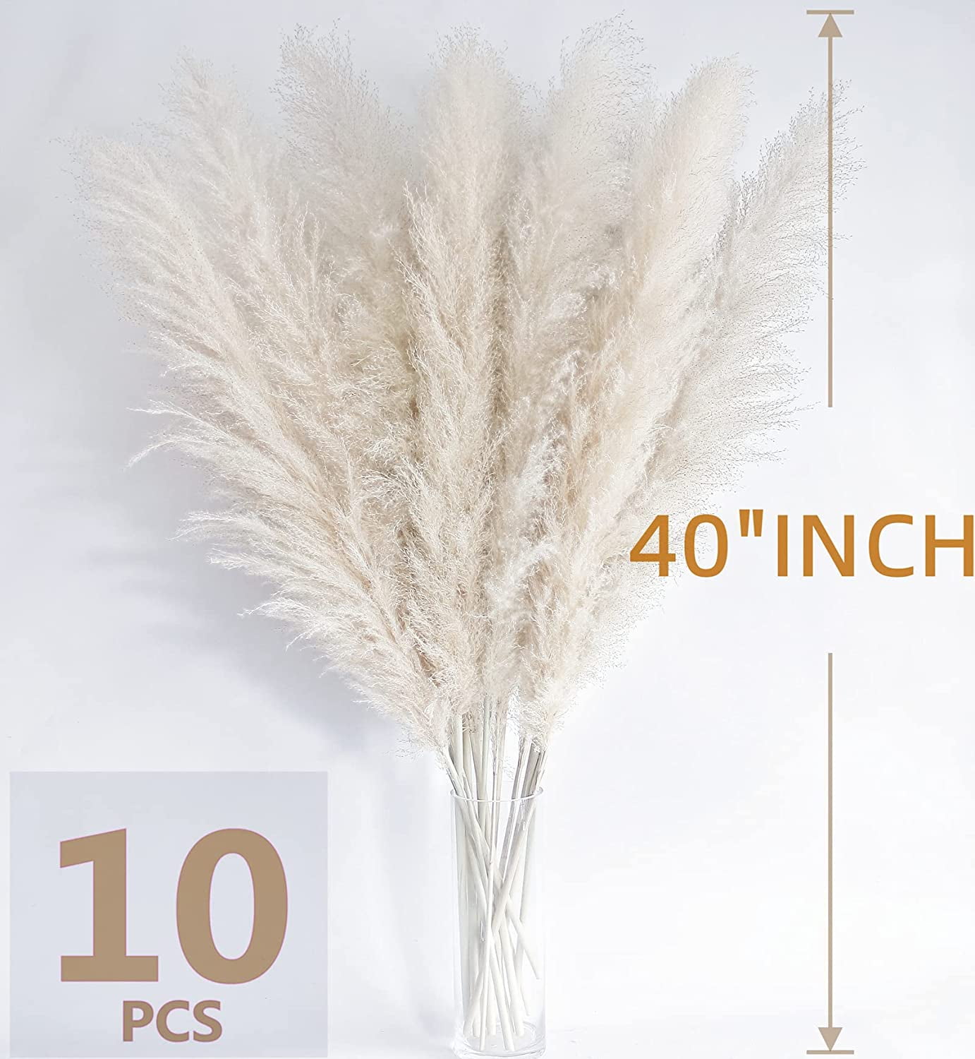 46" inch 10 Stems Natural Pampas Grass Decor Tall, Pompas Grass, Tall Pampas Grass for Weddingm, Farmhouse, Boho Home Decor (Ivory)