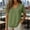 Green, variant on Women's 100% Cotton Short Sleeve Linen Top, Casual Double Layer Crepe Loose Blouse, Fashion Solid Color Round Neck Shirt, S-3XL Green Size 2XL