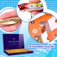 thumbnail image 2 of Calendario de adviento de pesca Lihome 2024 con 24 señuelos de pesca, 2 of 7