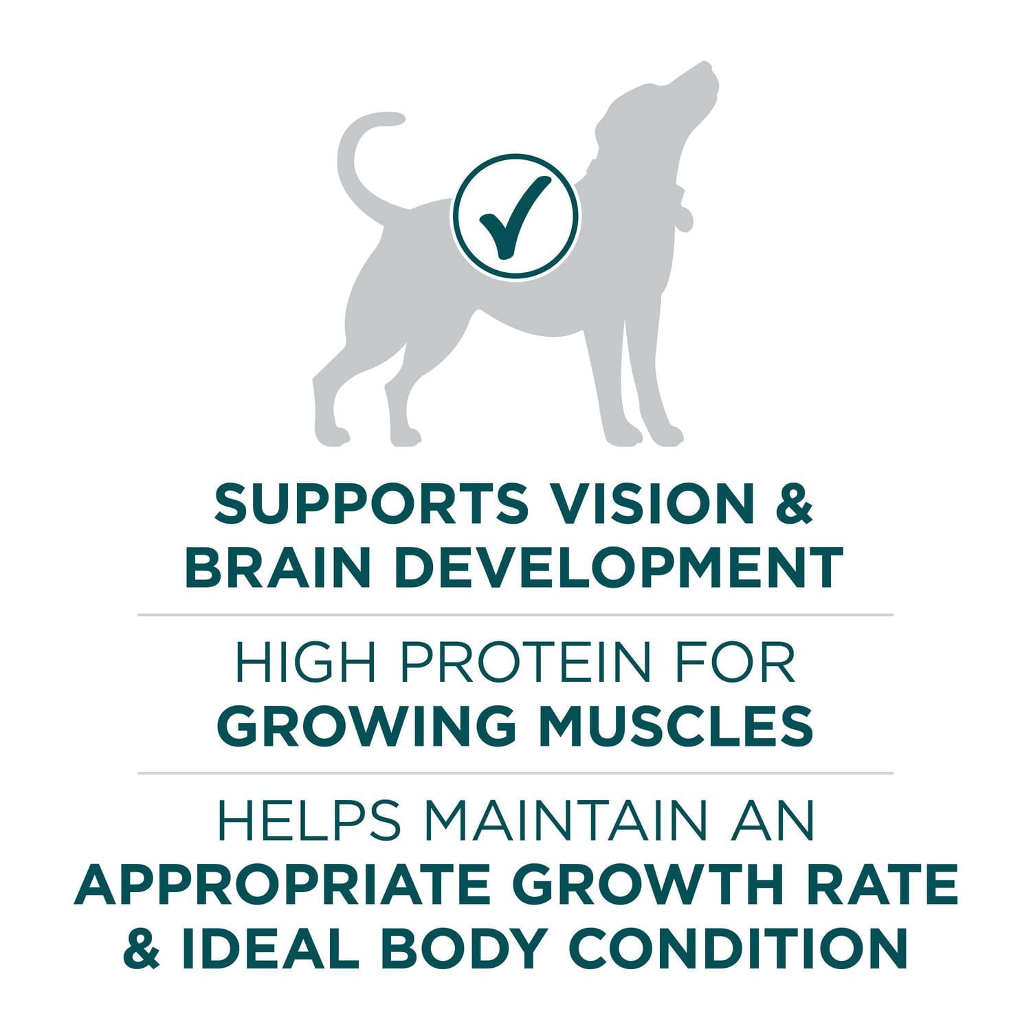 Purina ONE SmartBlend Large Breed Puppy Formula Chicken, Dry Dog Food 7 kg, 14 kg