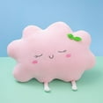 thumbnail image 2 of Oreiller en Peluche Nuages Roses/bleus - Peluche Courte Douce, Coton PP, Confortable pour Câliner/dormir, 2 of 6
