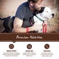 Holistic Select Natural Wet Grain Free Canned Dog Food, Lamb Pâté ...