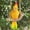 D004- Yellow, variant on Outdoor Yard Decorations, 14inBird Swing, Resin Art, Leaf Accents, Yellow Figurine, Patio Garden Decor, Balcony Decor, 1 Pc