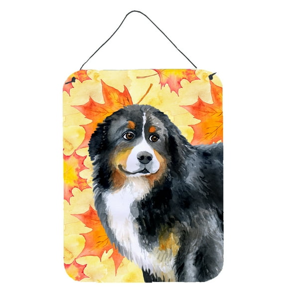 Carolines Treasures BB9906DS1216 Bernese Mountain Dog Fall Wall or Door Hanging Prints