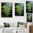 thumbnail image 4 of Designart "Ferns' Wonderland In The Green World VIII" Ferns Floater Framed Wall Art Prints, 4 of 5