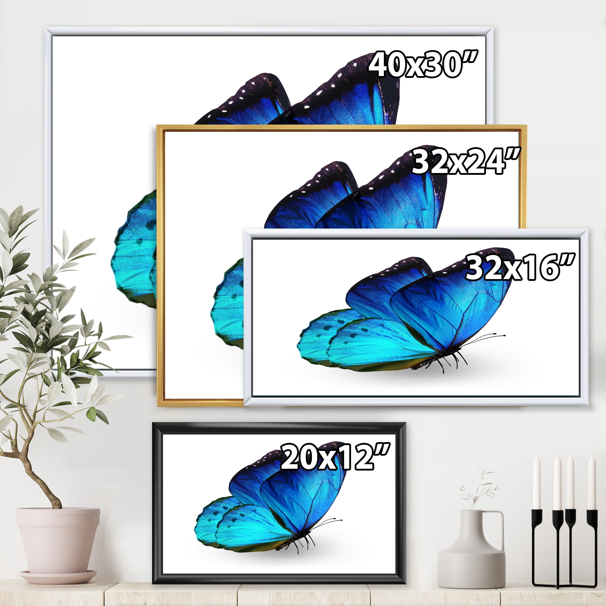 Designart 'Close Up Of Vibrant Blue Butterfly On White' Modern Framed Canvas Wall Art Print