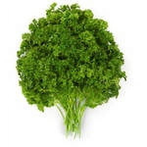 Fresh Organic Parsley, Bunch