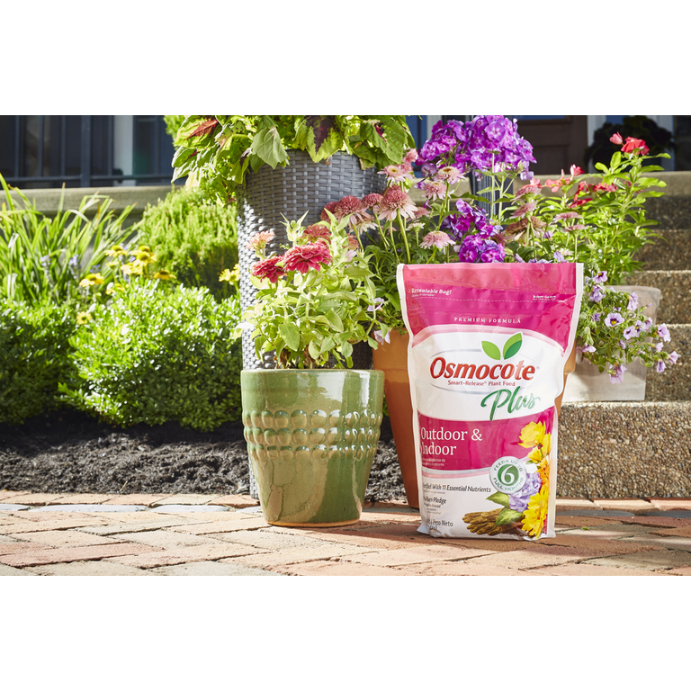 Osmocote plus sale