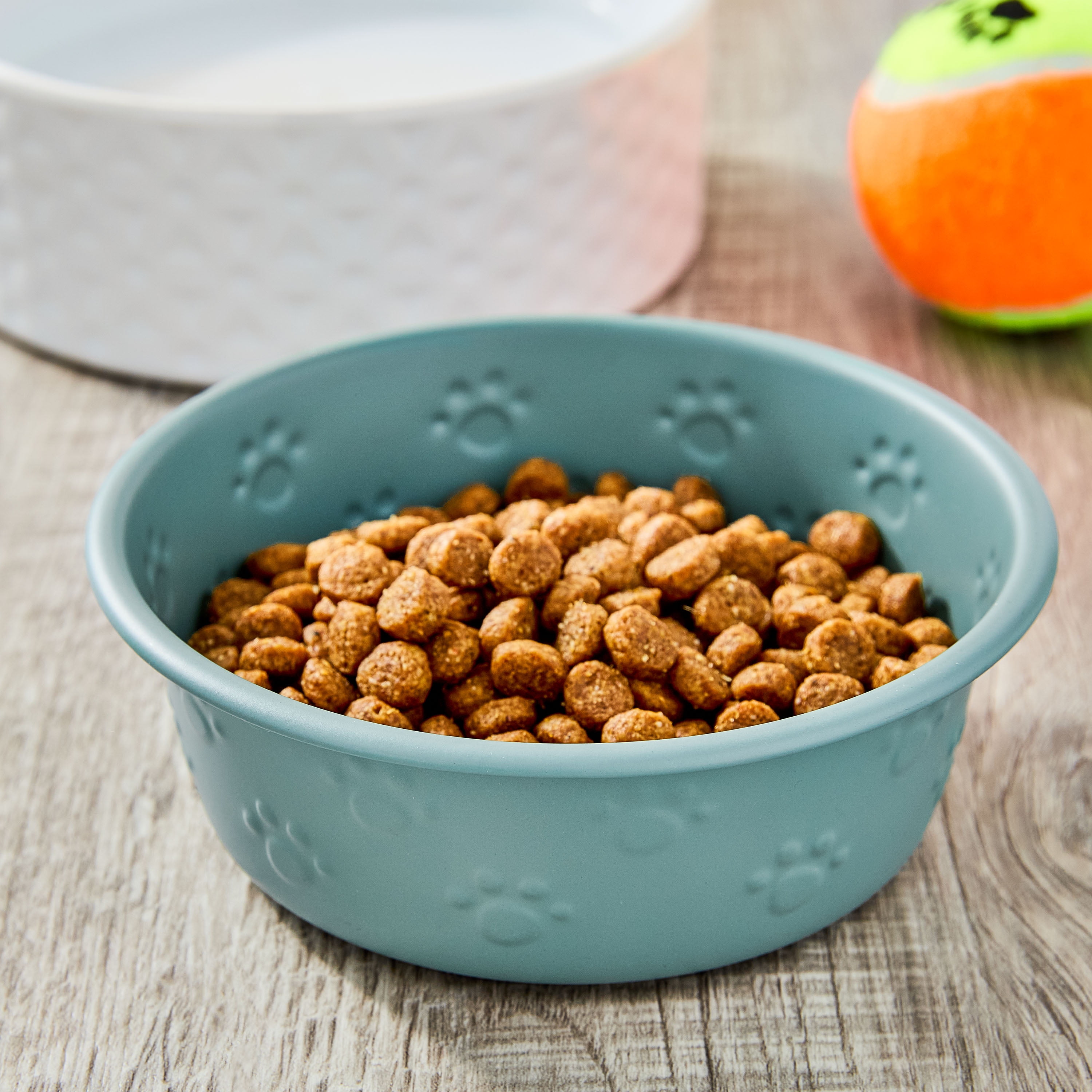 Vibrant Life Small Stainless Steel Embossed Dog Bowl, Green Paws