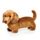 thumbnail image 1 of Comfort Puppet Cute Plush Dachshund Fine Process Without Burr Plush Toy Suitable For Birthday Party, 1 of 4
