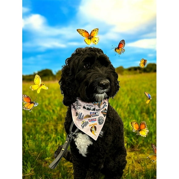 PAÑUELO PARA PERRO TALLA L CON COLLAR DOBLE VISTA USA - NY