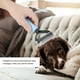 thumbnail image 4 of Peine para El nudo Del Cabello ANGGREK para mascotas S, 4 of 8