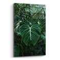 thumbnail image 2 of Epic Art 'Tropical 3' by Photoinc Studio, Acrylic Glass Wall Art, 16"x24", 2 of 8