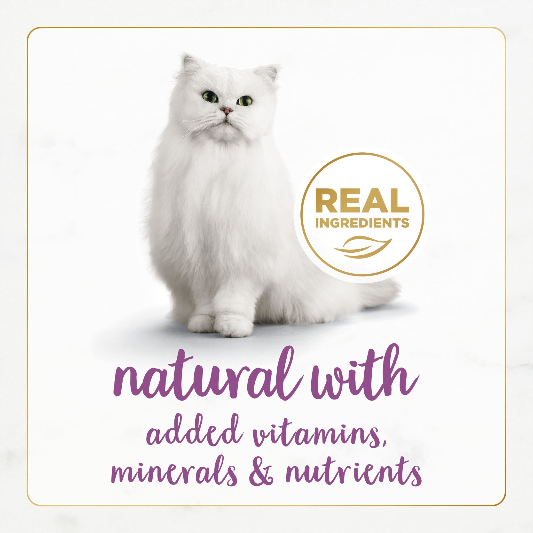 Purina Fancy Feast Gourmet Naturals Kitten Food, Wet Cat Food, Beef Pate, 3 oz Cans, 12 Pack