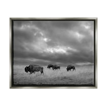 Stupell Industries Bison in Cloudy Field Landscape Photography Gray Floater Framed Canvas Art Print Wall Art, 21 x 17