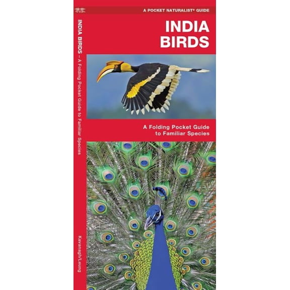 India Birds : A Folding Pocket Guide to Familiar Species