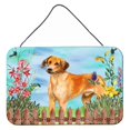 thumbnail image 1 of Carolines Treasures CK1238DS812 Rhodesian Ridgeback Impressions Murales Ou de Porte, 8 x 12 Po., 1 of 1