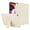 Beige, variant on DWaybox Case for iPad Air 13-inch (M4) 2026 Model A3462, Shockproof Soft TPU Back Cover with Kickstand, Slim Lightweight Protective Shell - Beige