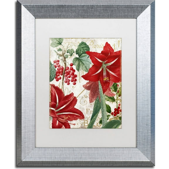 Trademark Fine Art "Amaryllis" Canvas Art by Color Bakery, White Matte, Silver Frame