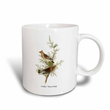 

3dRose Cedar Waxwing by John James Audubon - Ceramic Mug 11-ounce