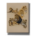 thumbnail image 1 of Epic Graffiti 'Golden Days' by Barbara Keith, Canvas Wall Art, 12"x16", 1 of 8