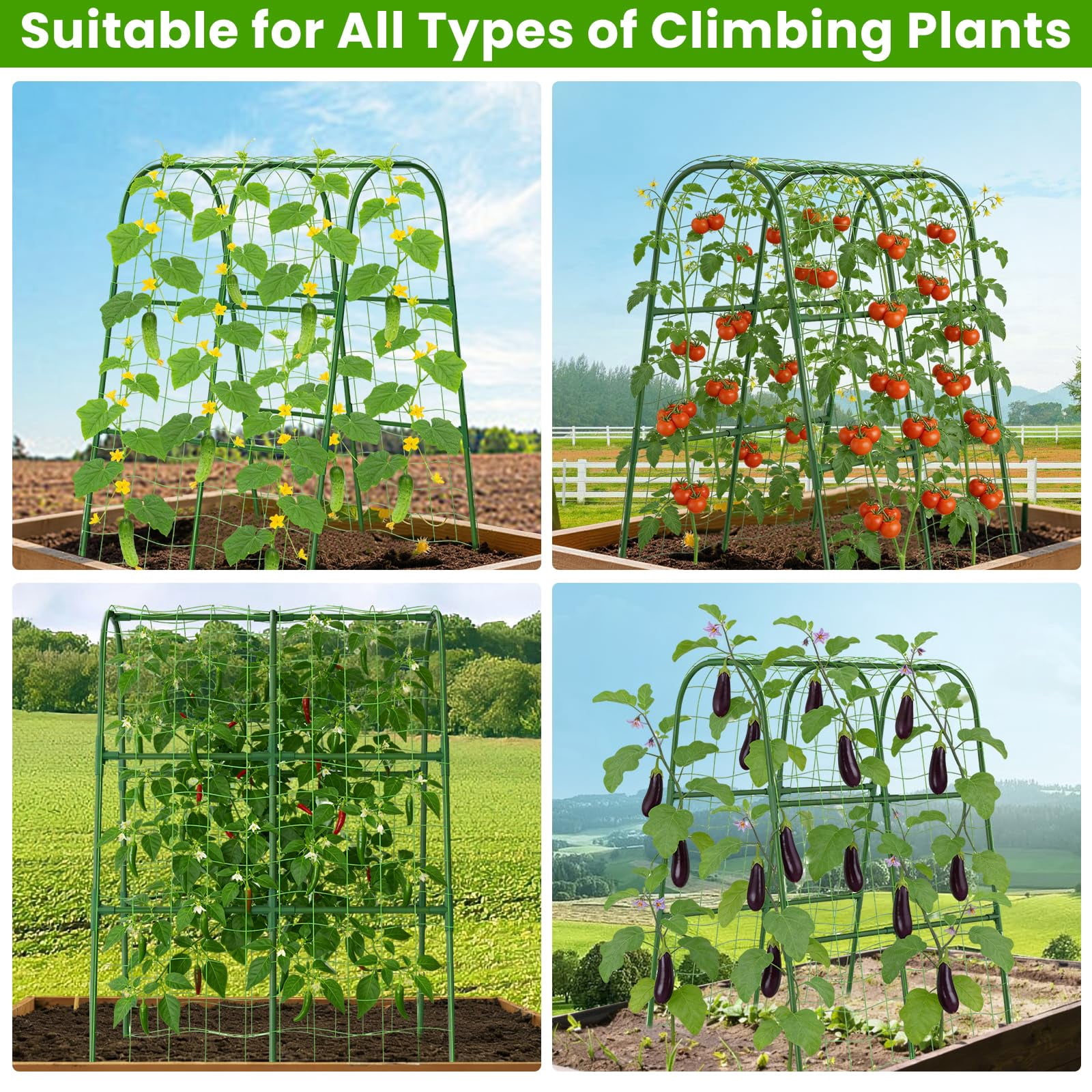 Cucumber Trellis For Raised Bed  U-shape Garden Climbing Plants Outdoor Metal Arch Vegetables Plant Support Grape Vine Beans Squash Peas Flower