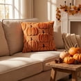 thumbnail image 2 of Fall Pillow Covers 18x18 Thanksgiving Pumpkin Embroidered Velvet Couch Decor by OVFUIZ, 2 of 8