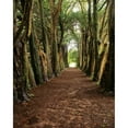 thumbnail image 2 of Posterazzi DPI1798364LARGE Lismore County Waterford Ireland - Castles Pleasure Ground Poster Print by The Irish Image Collection, 24 x 32 - Large, 2 of 4