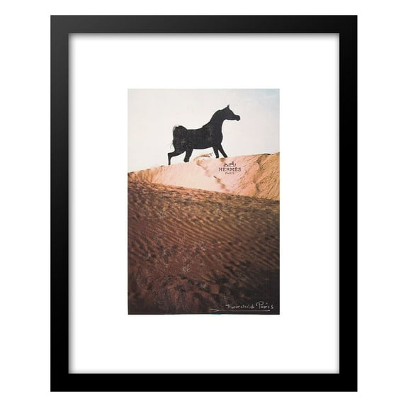 Fashion Horse Beauty Framed Print