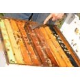 thumbnail image 3 of Miller Mfg Outil de Ruche d'Apiculture 052846, 3 of 3