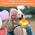 thumbnail image 3 of Balón de fútbol para perros QDAN Duck para cumpleaños de cachorros de tira y afloja, 3 of 7