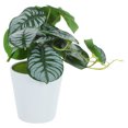 thumbnail image 1 of Moluckfu Planta Artificial En Maceta De Material Resistente Para Decorar Muebles Y Escritorios, 1 of 6