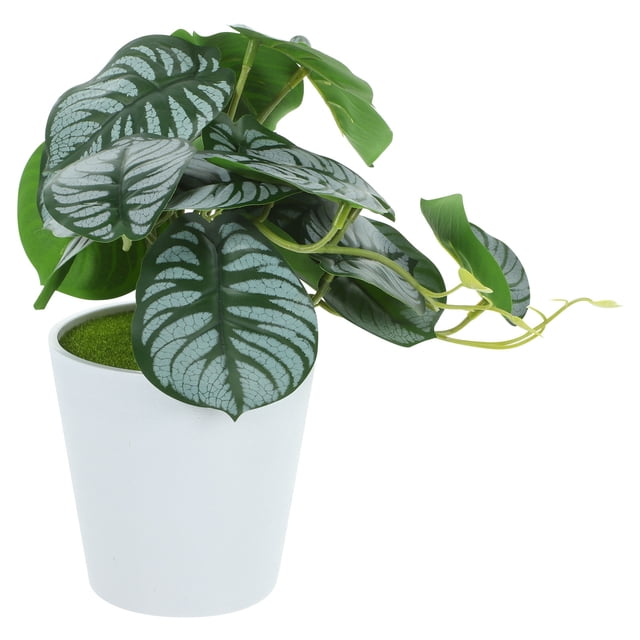 Moluckfu Planta Artificial En Maceta De Material Resistente Para Decorar Muebles Y Escritorios