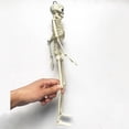 thumbnail image 6 of XGFHYJEH Halloween Decorations Decor, Halloween Skeleton Plastic Human Skull Pendant Foldable Decoration, 6 of 7