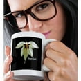 thumbnail image 2 of 3dRose, Peacock Orchid - Photography Flowers, 15oz Mug, 2 of 7